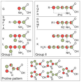 Glycerol_labelling