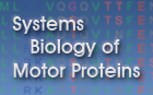 link to motorprotein